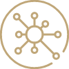Gold line art of a network inside a circle