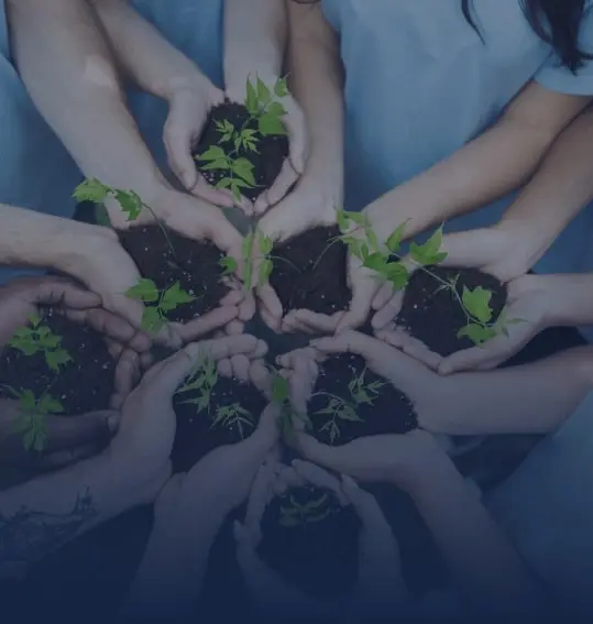Close up of several pair of childrens hands holding small green plants growing out of dark soil