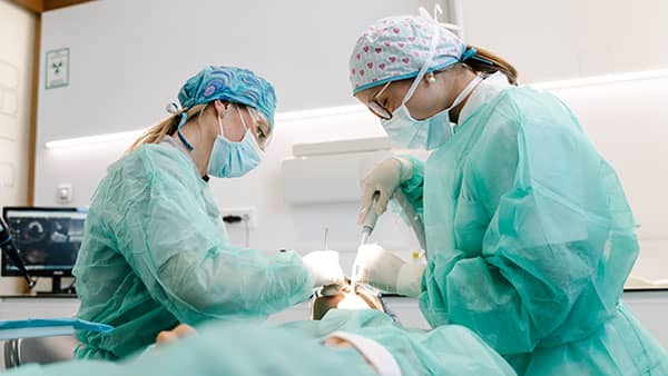 Oral surgeons in blue scrubs performing surgery